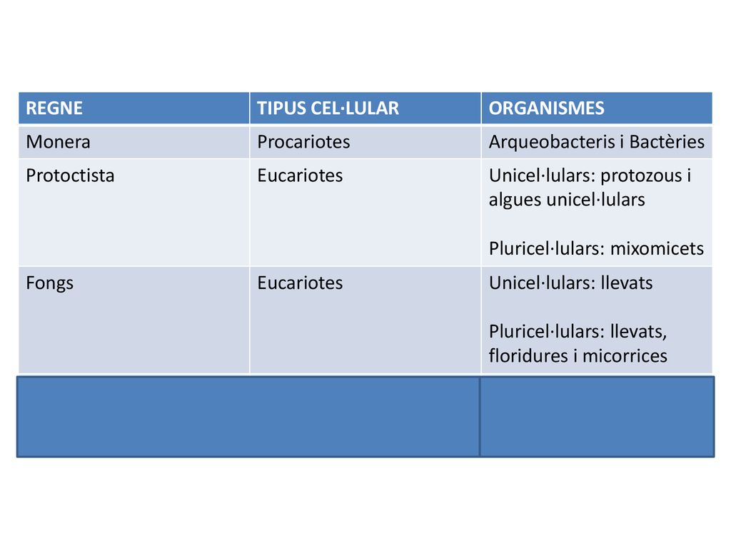 REGNE TIPUS CEL·LULAR. ORGANISMES. Monera. Procariotes. Arqueobacteris i Bactèries. Protoctista.