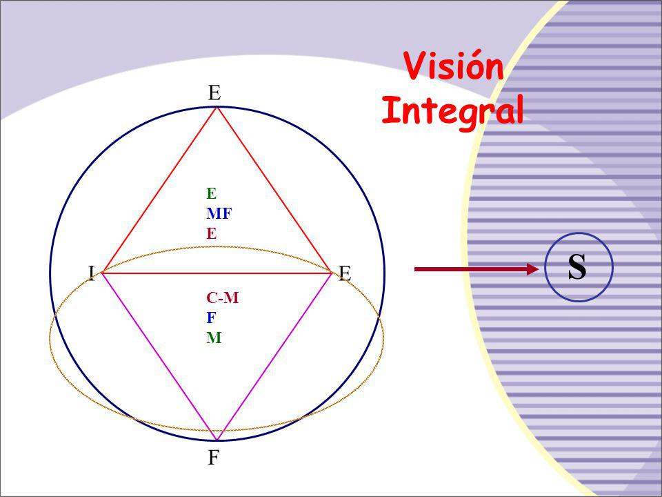 Visión Integral E E MF S I E C-M F M F