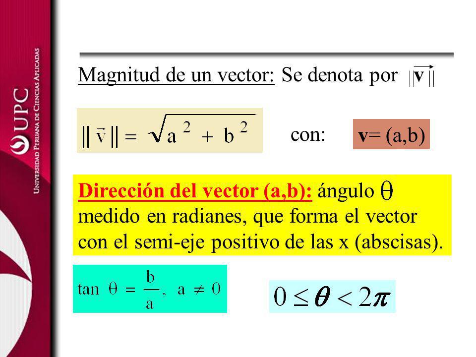 Magnitud de un vector: Se denota por v