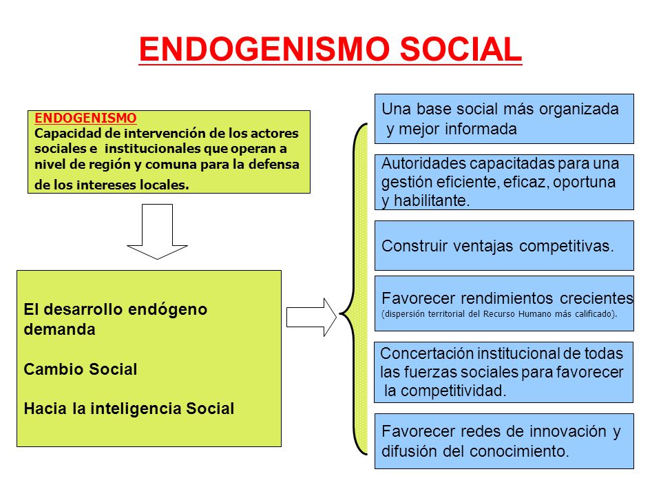 ENDOGENISMO SOCIAL Una base social más organizada y mejor informada