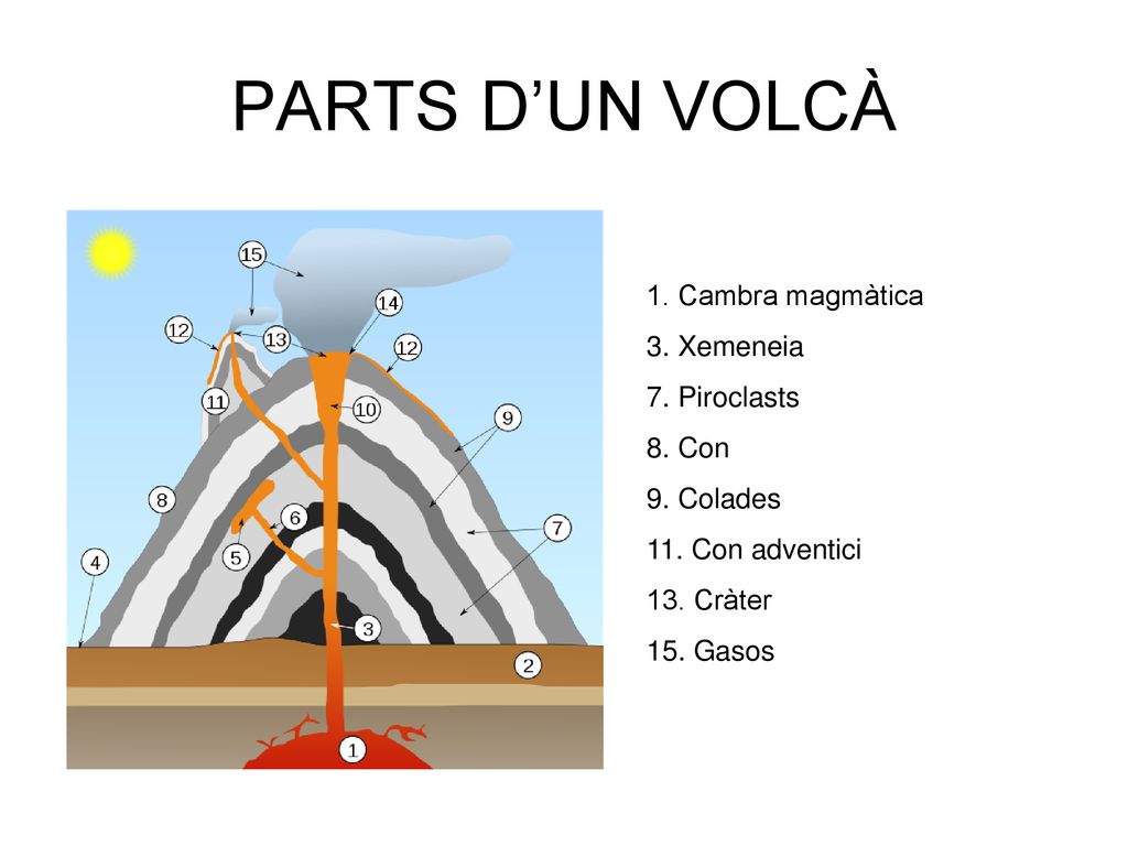 PARTS D’UN VOLCÀ 1. Cambra magmàtica 3. Xemeneia 7. Piroclasts 8. Con