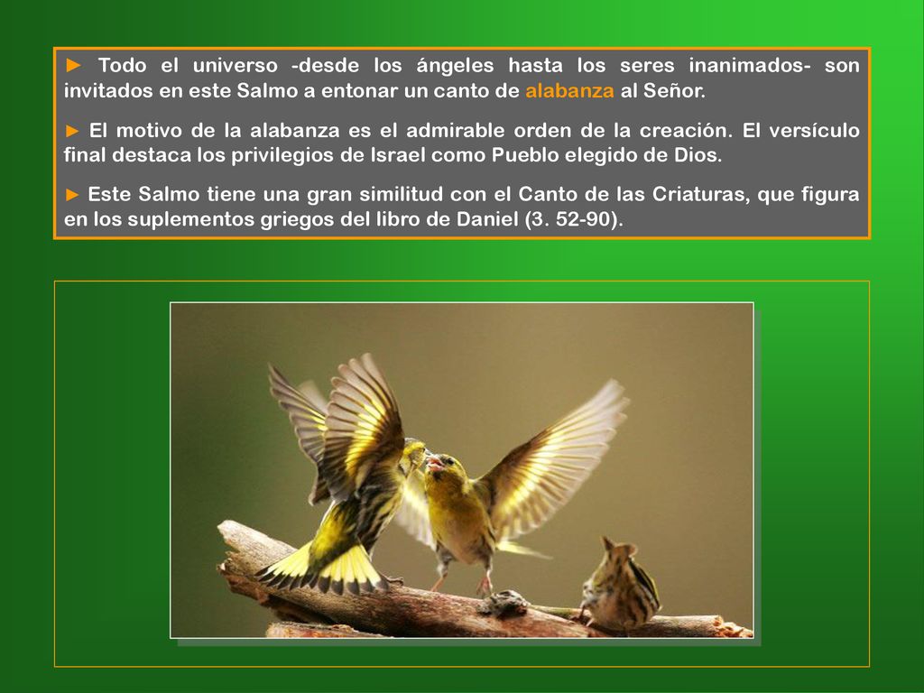 ► Todo el universo -desde los ángeles hasta los seres inanimados- son invitados en este Salmo a entonar un canto de alabanza al Señor.