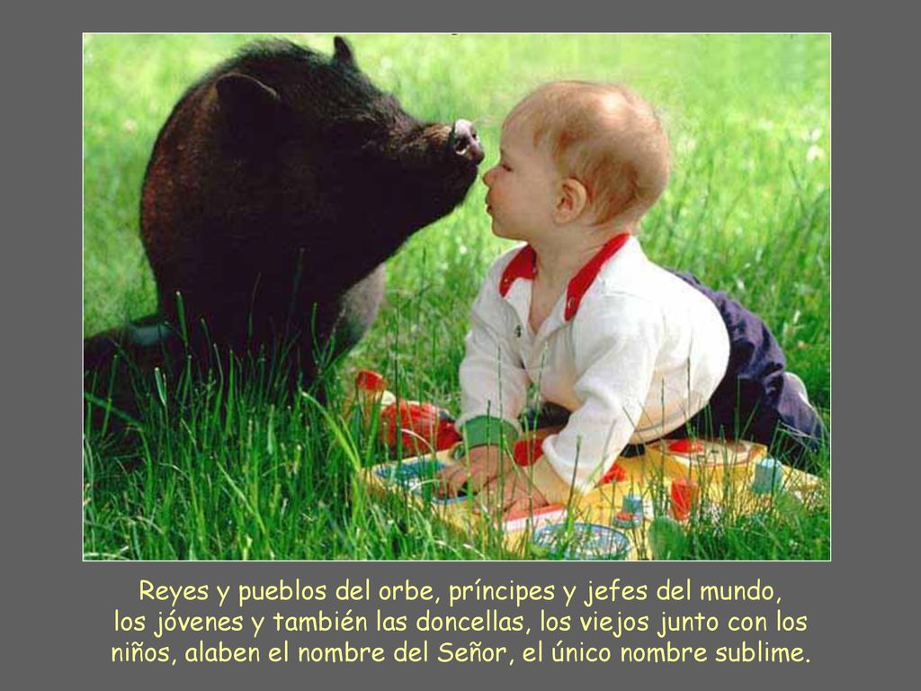 Reyes y pueblos del orbe, príncipes y jefes del mundo, los jóvenes y también las doncellas, los viejos junto con los niños, alaben el nombre del Señor, el único nombre sublime.