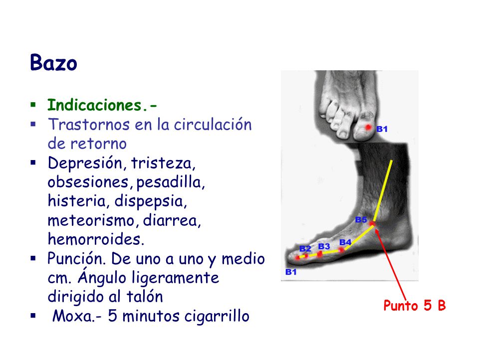 Bazo Indicaciones.- Trastornos en la circulación de retorno