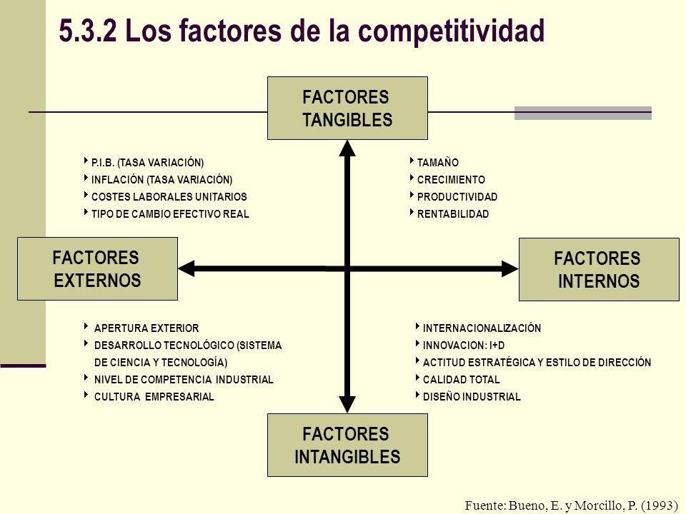 5.3.2 Los factores de la competitividad