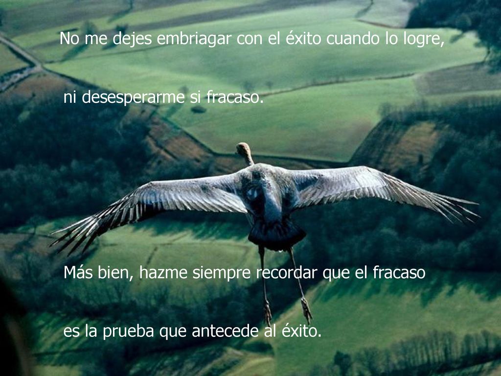 No me dejes embriagar con el éxito cuando lo logre,