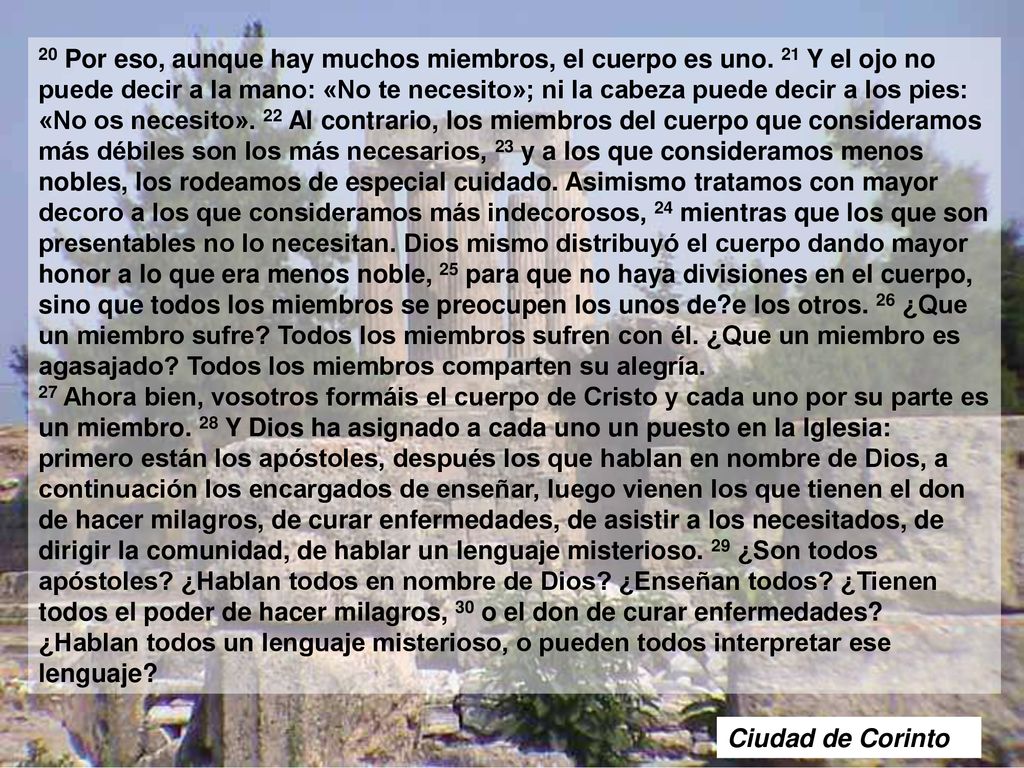 20 Por eso, aunque hay muchos miembros, el cuerpo es uno