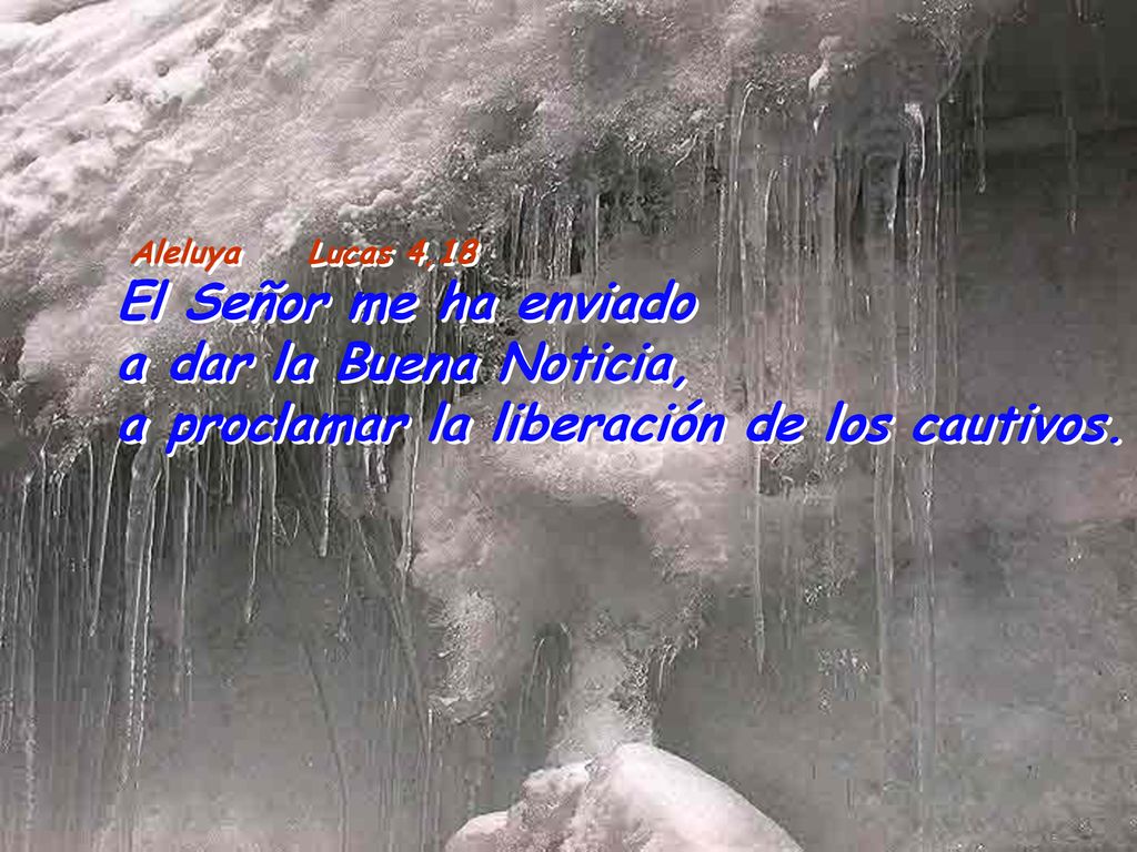 El Señor me ha enviado a dar la Buena Noticia,