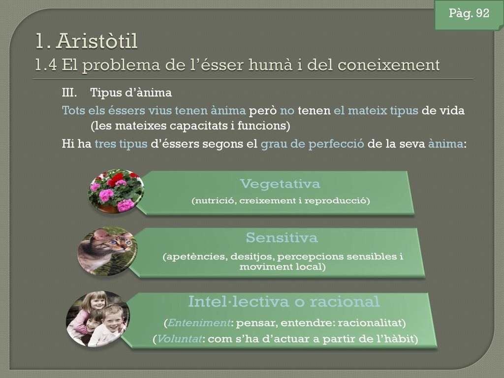1. Aristòtil 1.4 El problema de l’ésser humà i del coneixement