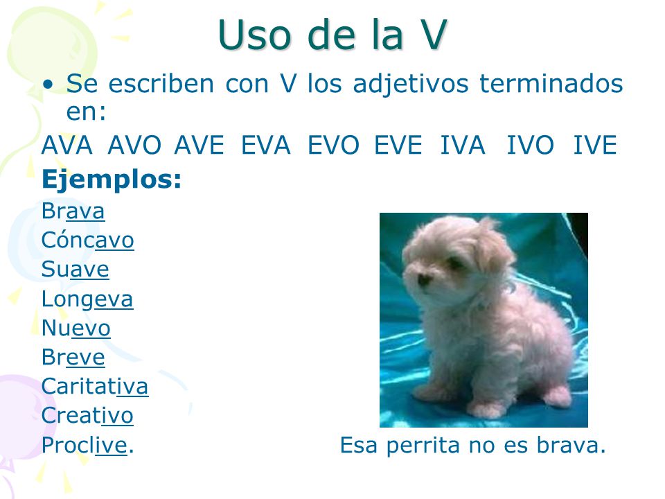 Uso de la V Se escriben con V los adjetivos terminados en: