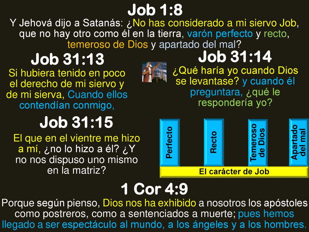Job 1:8 Job 31:14 Job 31:13 Job 31:15 1 Cor 4:9