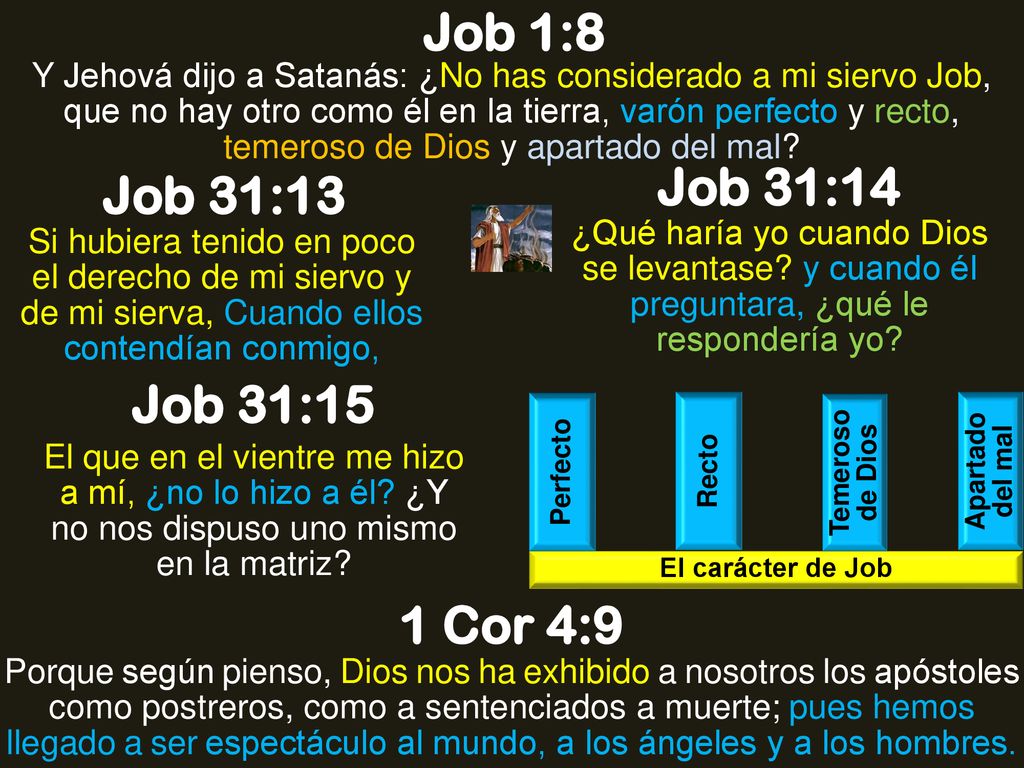 Job 1:8 Job 31:14 Job 31:13 Job 31:15 1 Cor 4:9