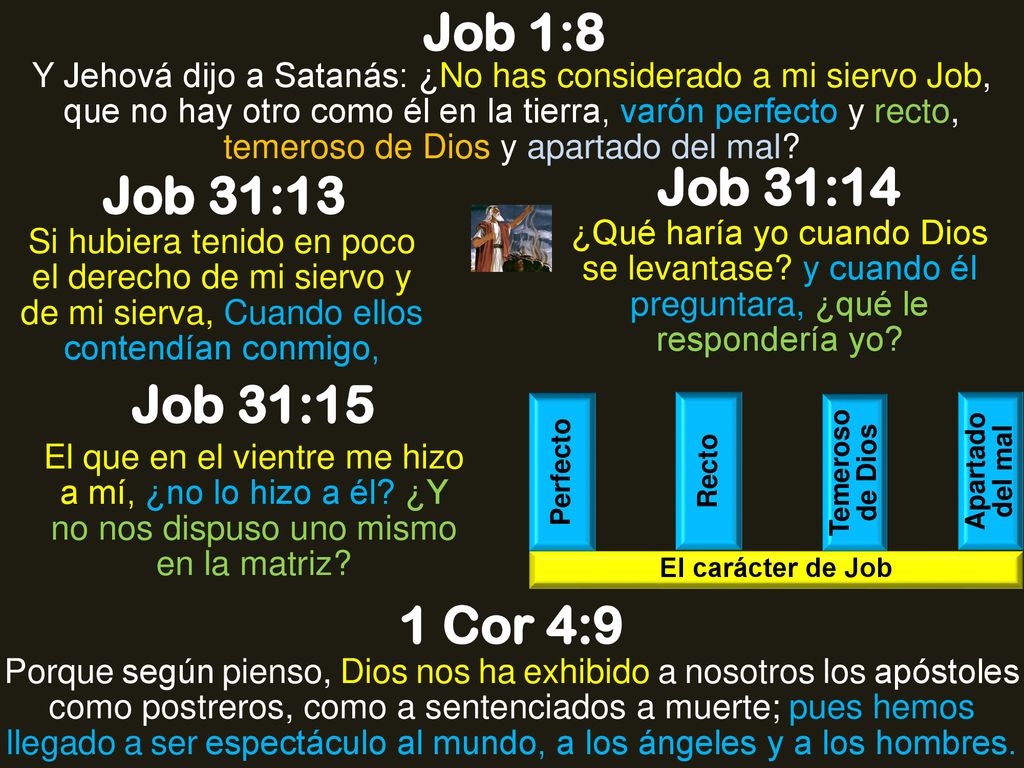 Job 1:8 Job 31:14 Job 31:13 Job 31:15 1 Cor 4:9