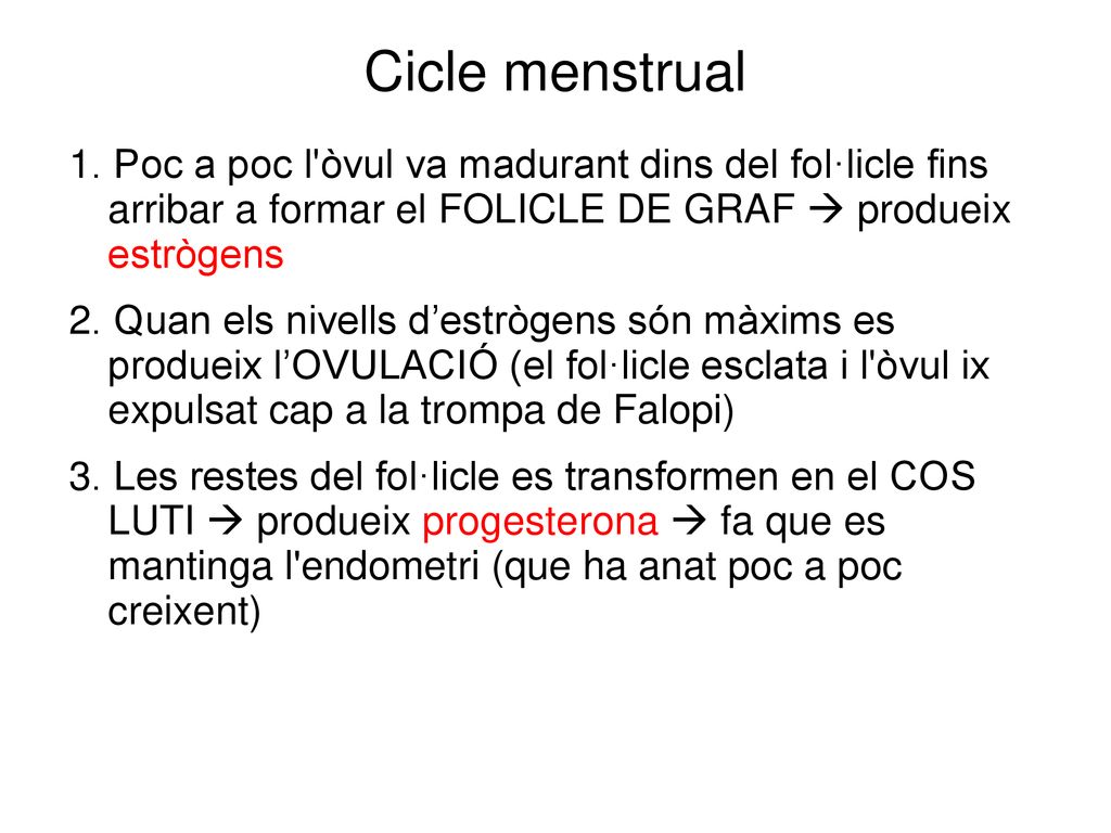 Cicle menstrual 1. Poc a poc l òvul va madurant dins del fol·licle fins arribar a formar el FOLICLE DE GRAF  produeix estrògens.