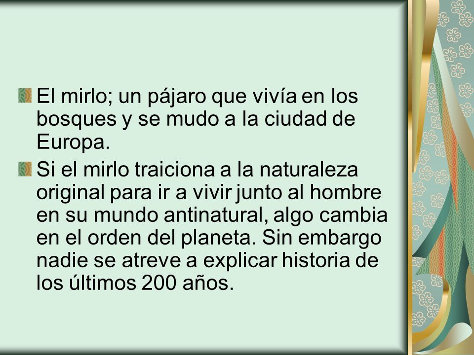 El mirlo; un pájaro que vivía en los bosques y se mudo a la ciudad de Europa.