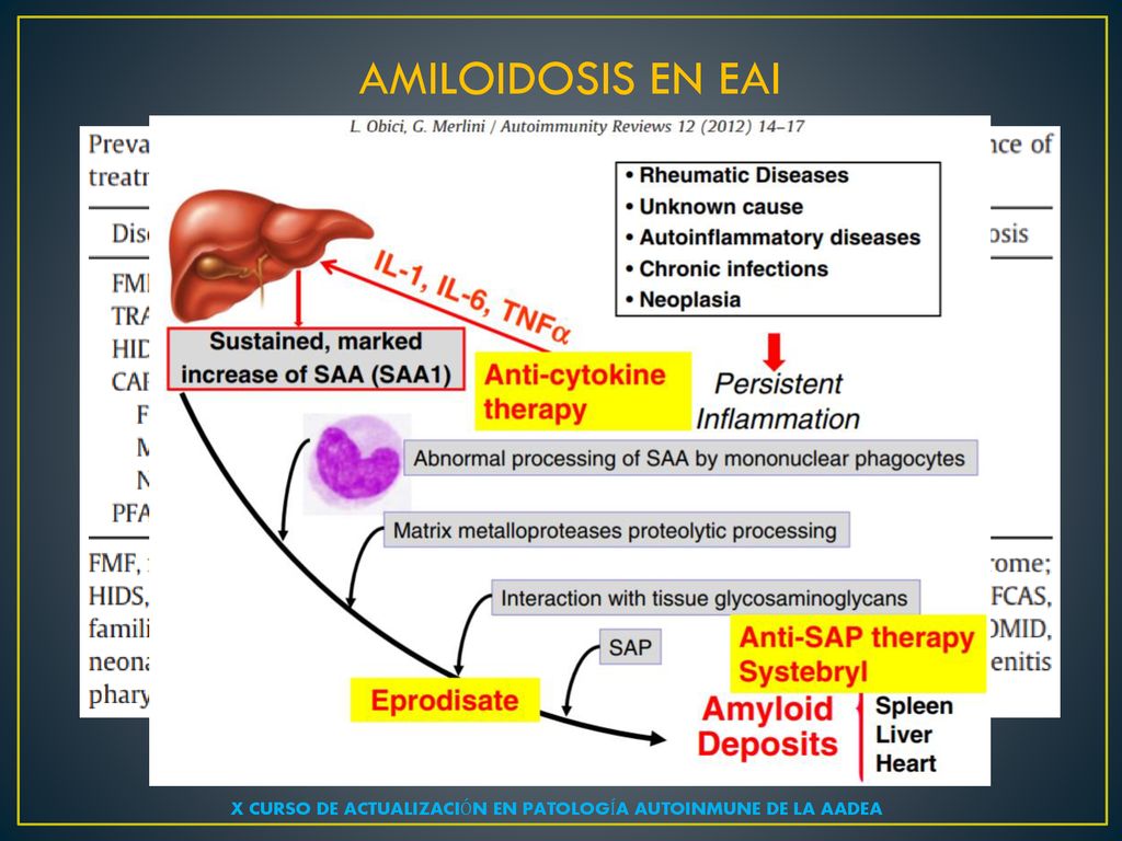 X CURSO DE ACTUALIZACIÓN EN PATOLOGÍA AUTOINMUNE DE LA AADEA