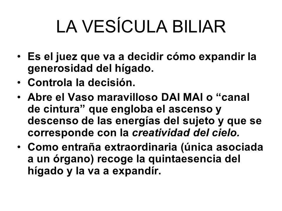 LA VESÍCULA BILIAR Es el juez que va a decidir cómo expandir la generosidad del hígado. Controla la decisión.