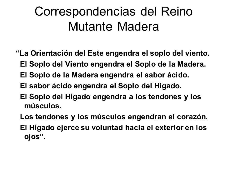 Correspondencias del Reino Mutante Madera