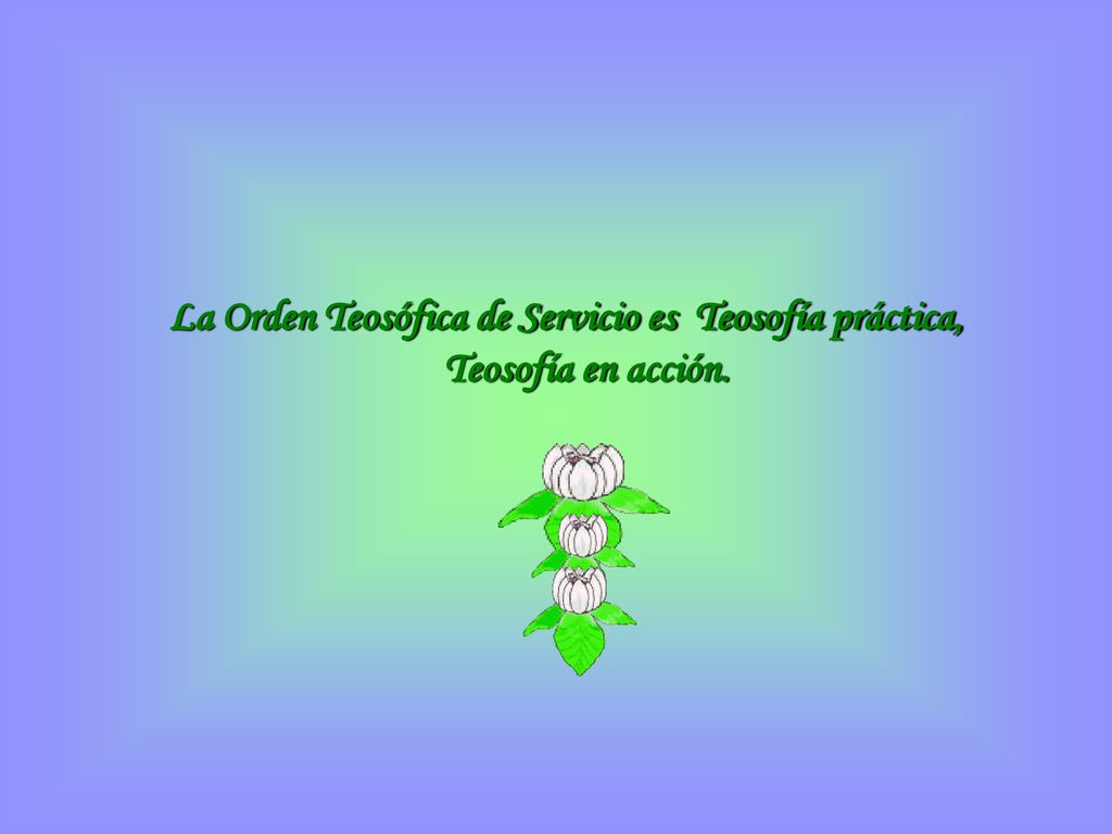 La Orden Teosófica de Servicio es Teosofía práctica, Teosofía en acción.