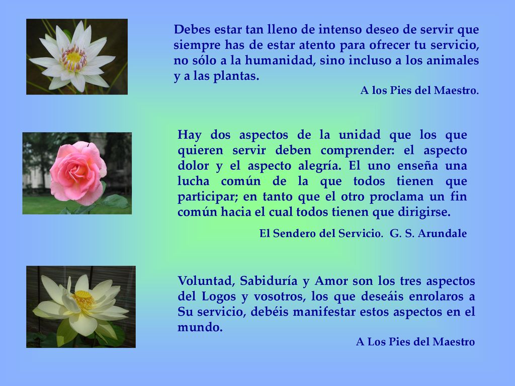 Debes estar tan lleno de intenso deseo de servir que siempre has de estar atento para ofrecer tu servicio, no sólo a la humanidad, sino incluso a los animales y a las plantas.