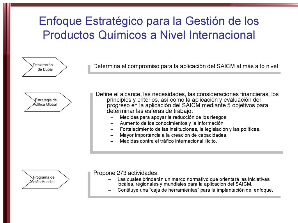 Enfoque Estratégico para la Gestión de los Productos Químicos a Nivel Internacional