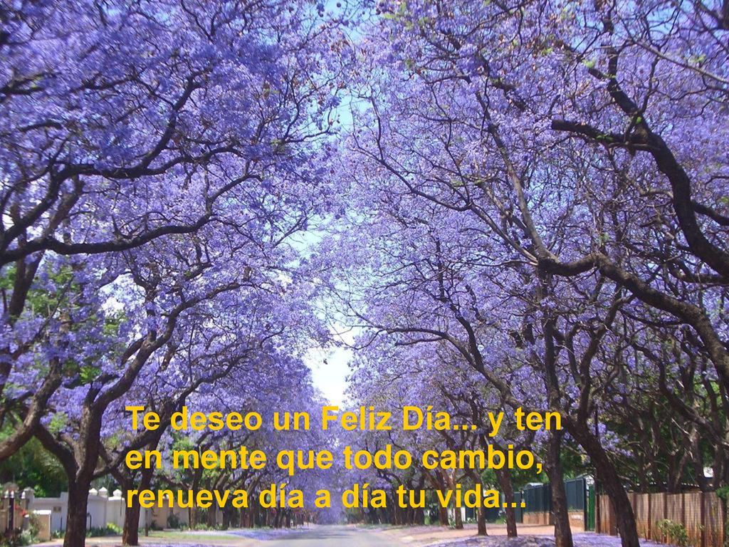 Te deseo un Feliz Día... y ten en mente que todo cambio, renueva día a día tu vida...