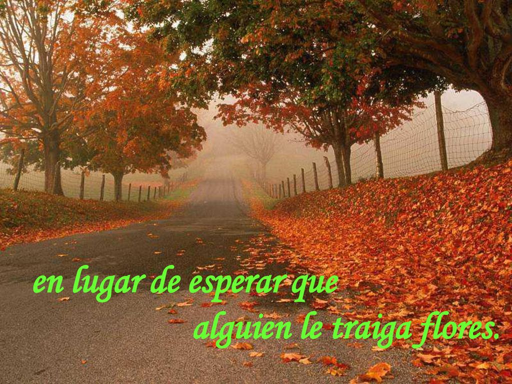 en lugar de esperar que alguien le traiga flores.