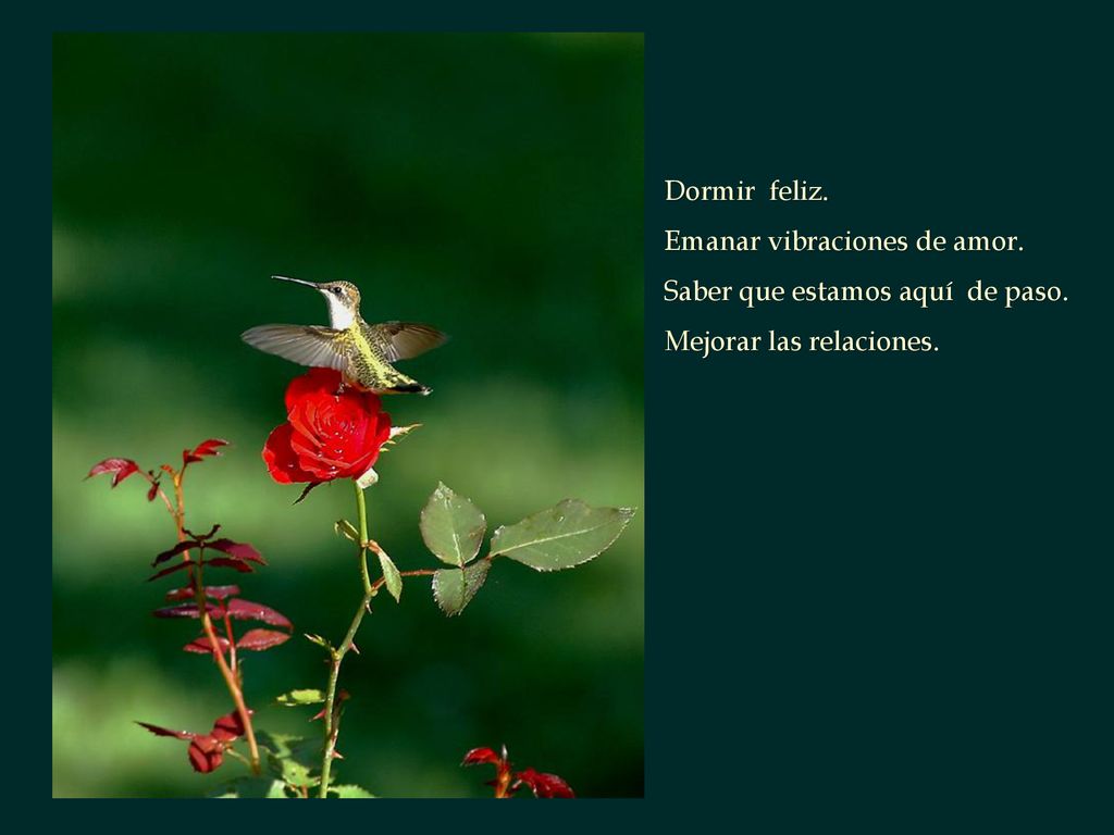 Dormir feliz. Emanar vibraciones de amor. Saber que estamos aquí de paso. Mejorar las relaciones.