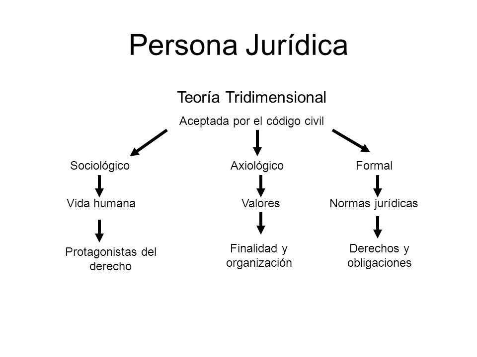 Persona Jurídica Teoría Tridimensional Aceptada por el código civil