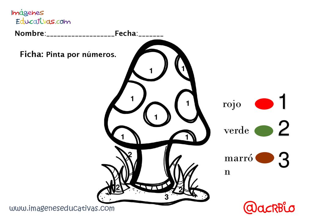 1 2 3 rojo verde marrón Ficha: Pinta por números.