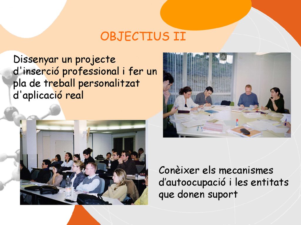 OBJECTIUS II Dissenyar un projecte d inserció professional i fer un pla de treball personalitzat d aplicació real.