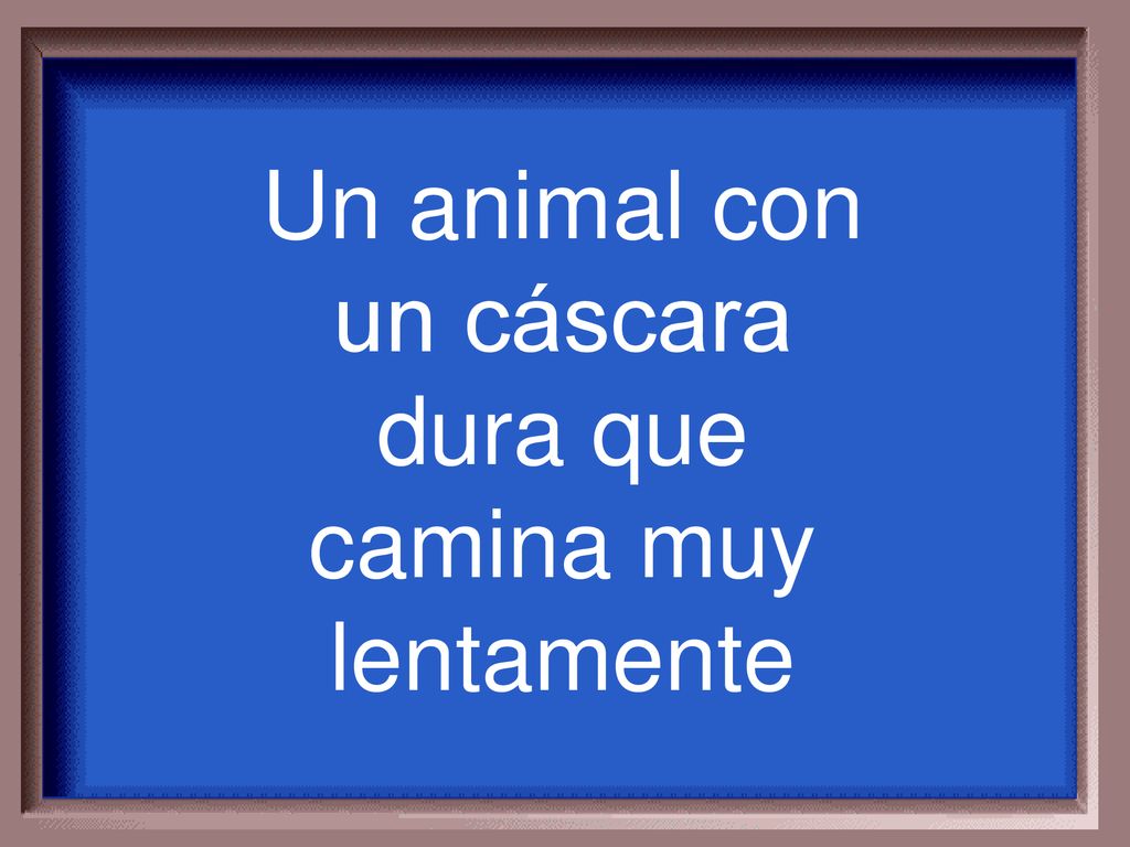 Un animal con un cáscara dura que camina muy lentamente