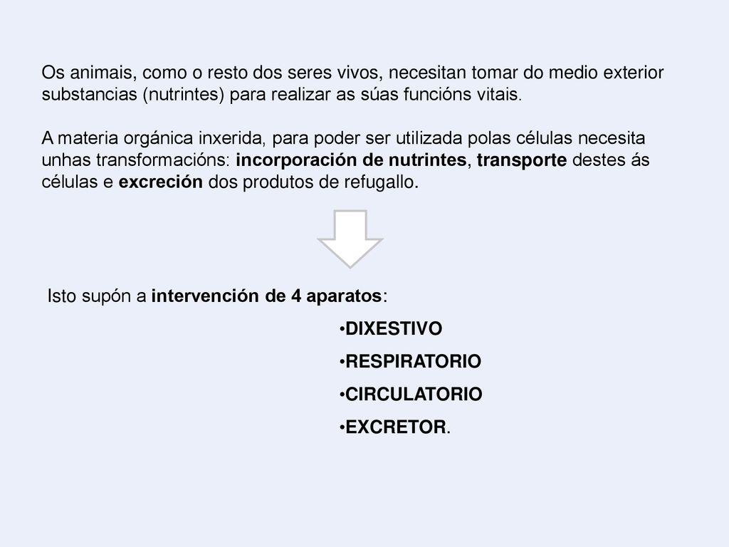 Os animais, como o resto dos seres vivos, necesitan tomar do medio exterior substancias (nutrintes) para realizar as súas funcións vitais.