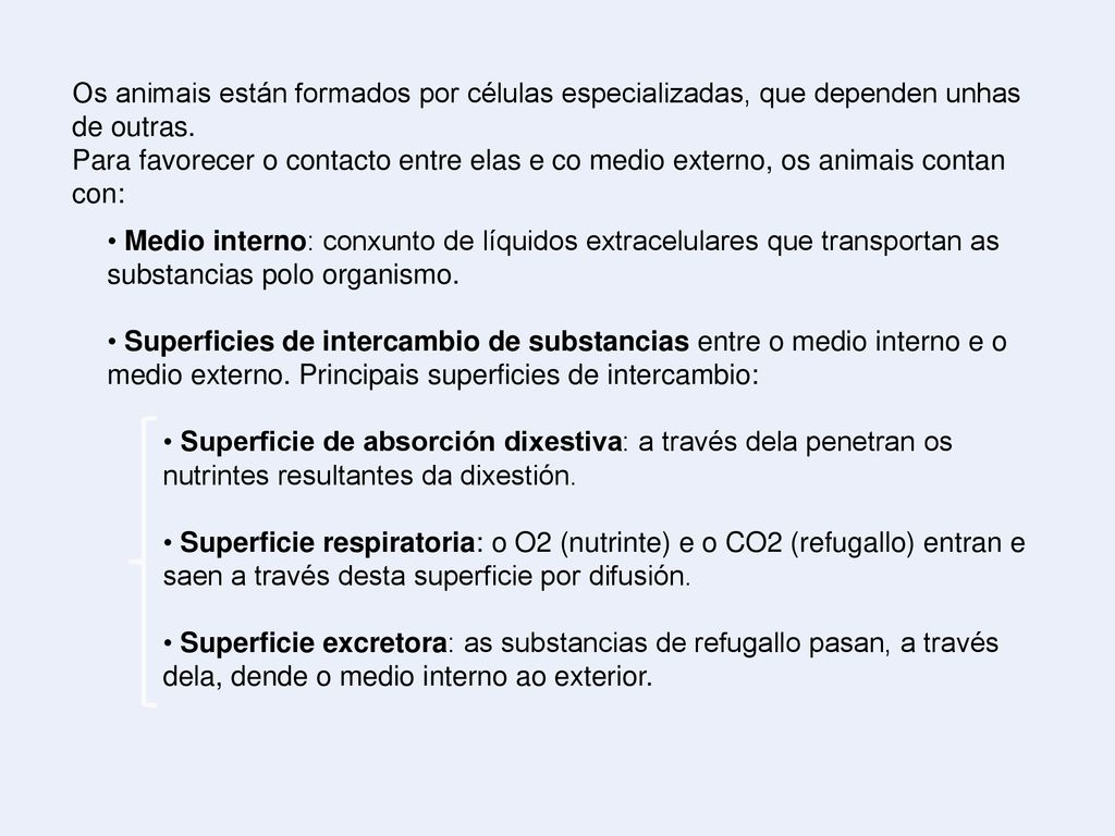 Os animais están formados por células especializadas, que dependen unhas de outras.