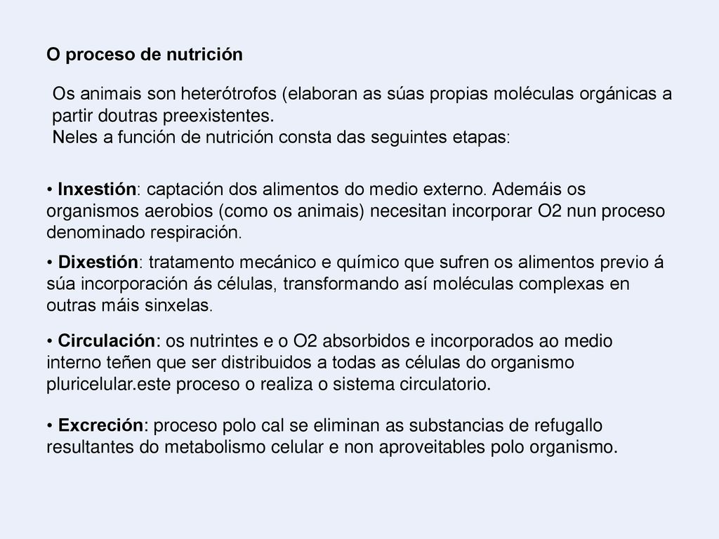 O proceso de nutrición Os animais son heterótrofos (elaboran as súas propias moléculas orgánicas a partir doutras preexistentes.