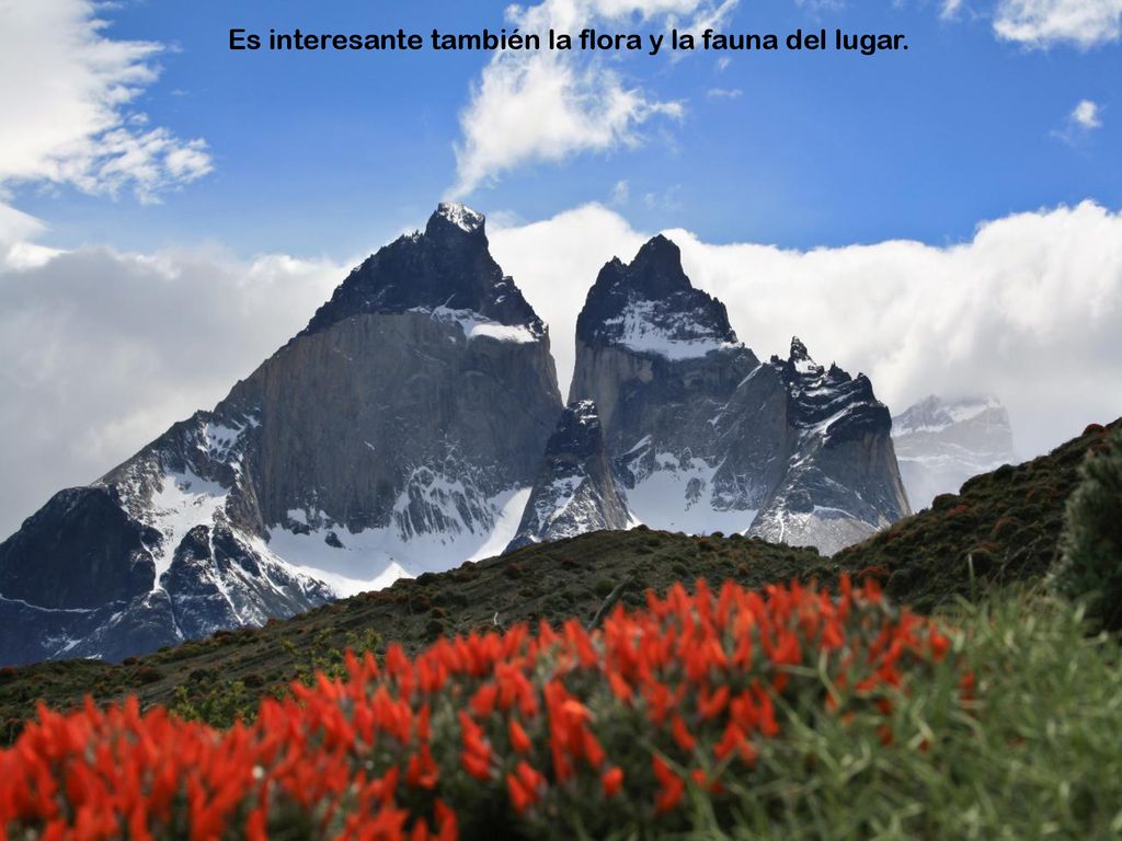 Es interesante también la flora y la fauna del lugar.