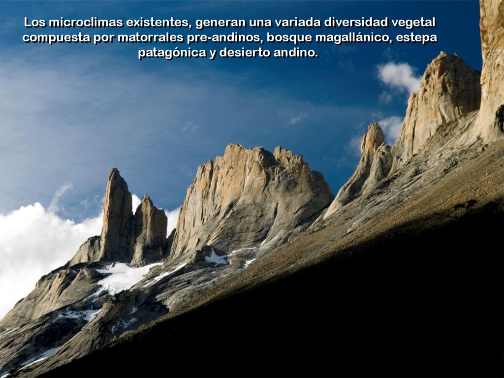 Los microclimas existentes, generan una variada diversidad vegetal compuesta por matorrales pre-andinos, bosque magallánico, estepa patagónica y desierto andino.
