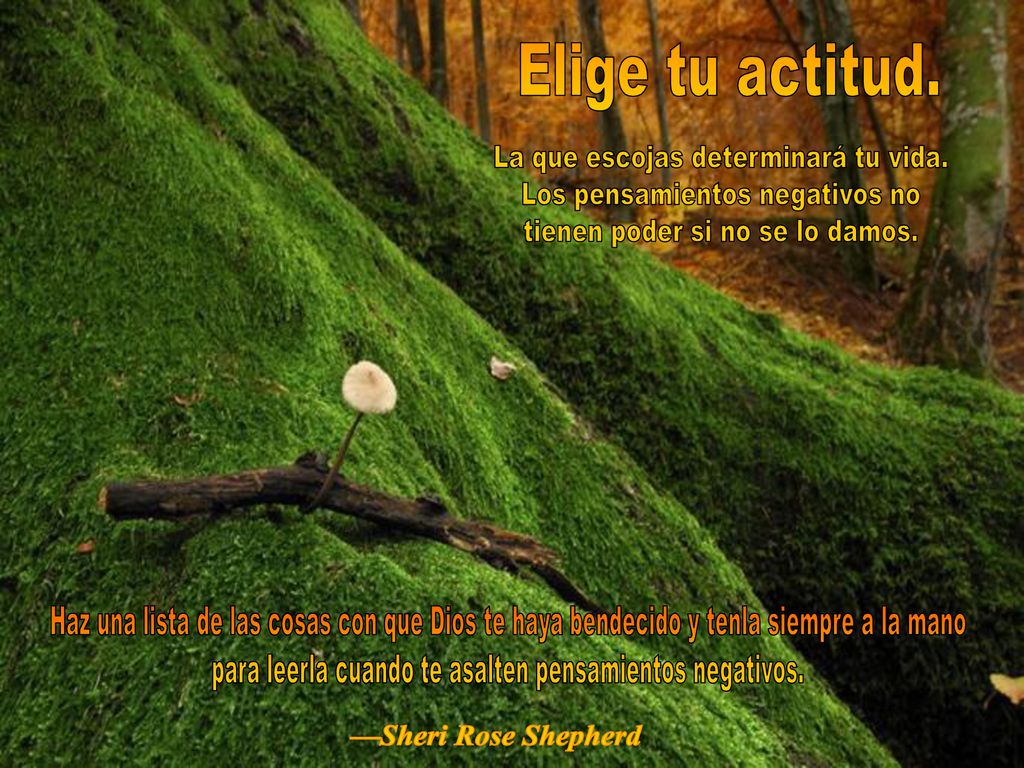 La que escojas determinará tu vida. Los pensamientos negativos no