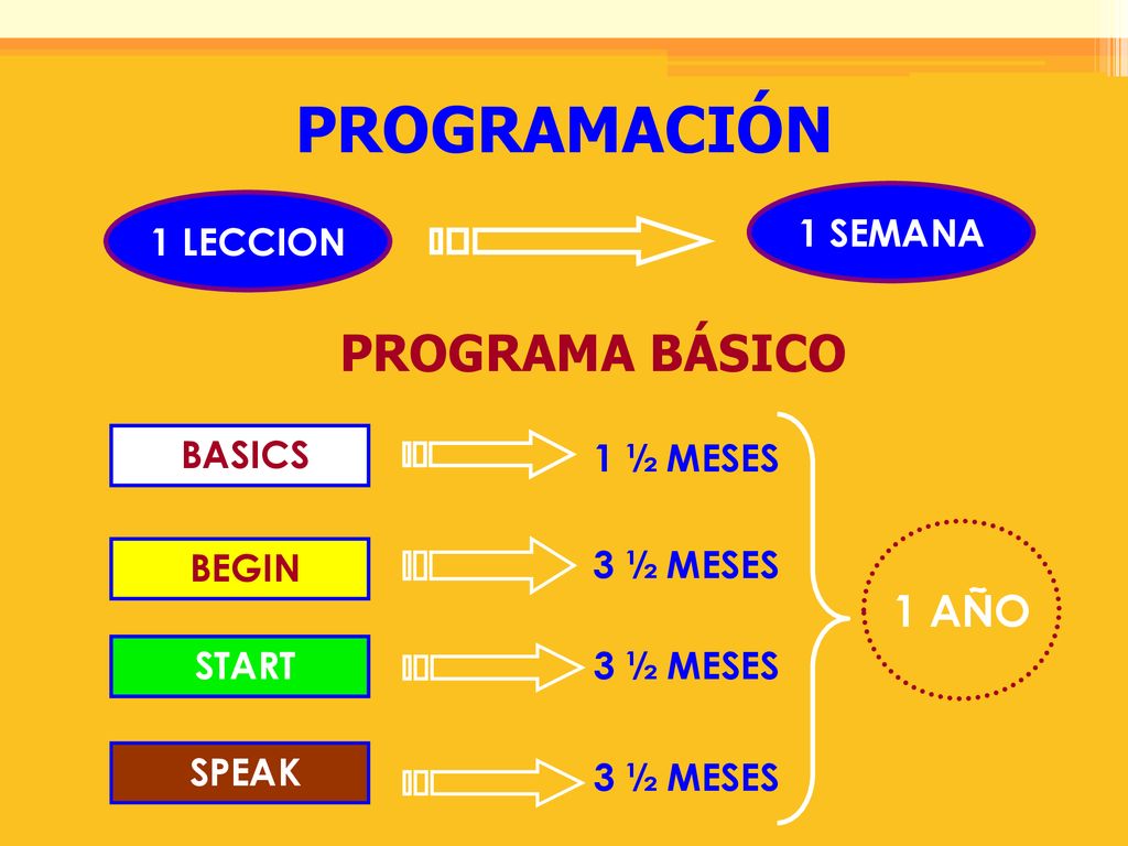 PROGRAMACIÓN PROGRAMA BÁSICO 1 AÑO 1 SEMANA 1 LECCION BASICS 1 ½ MESES