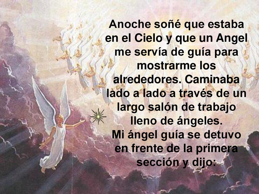 Mi ángel guía se detuvo en frente de la primera sección y dijo: