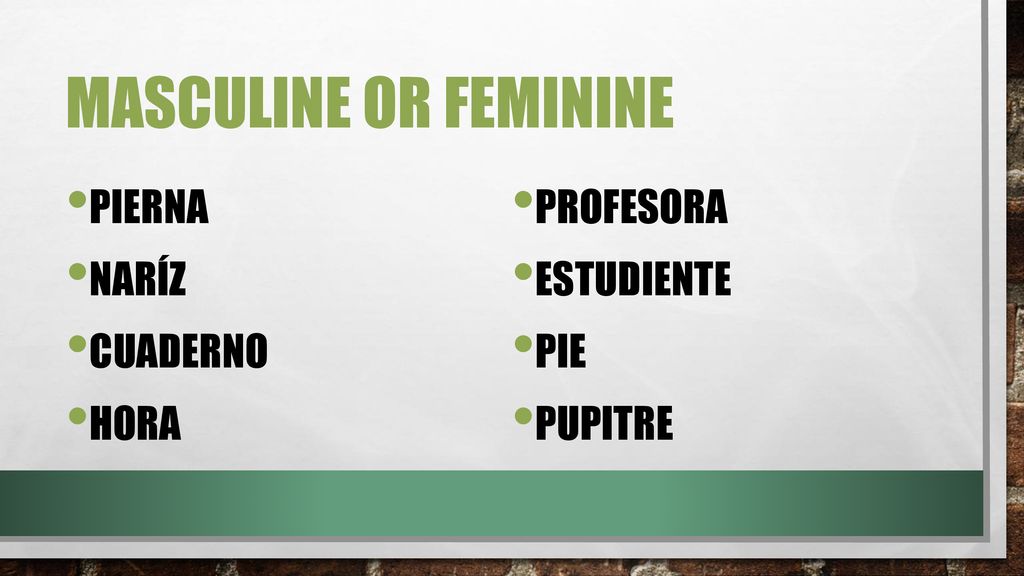 Masculine or Feminine Pierna Naríz Cuaderno Hora Profesora Estudiente