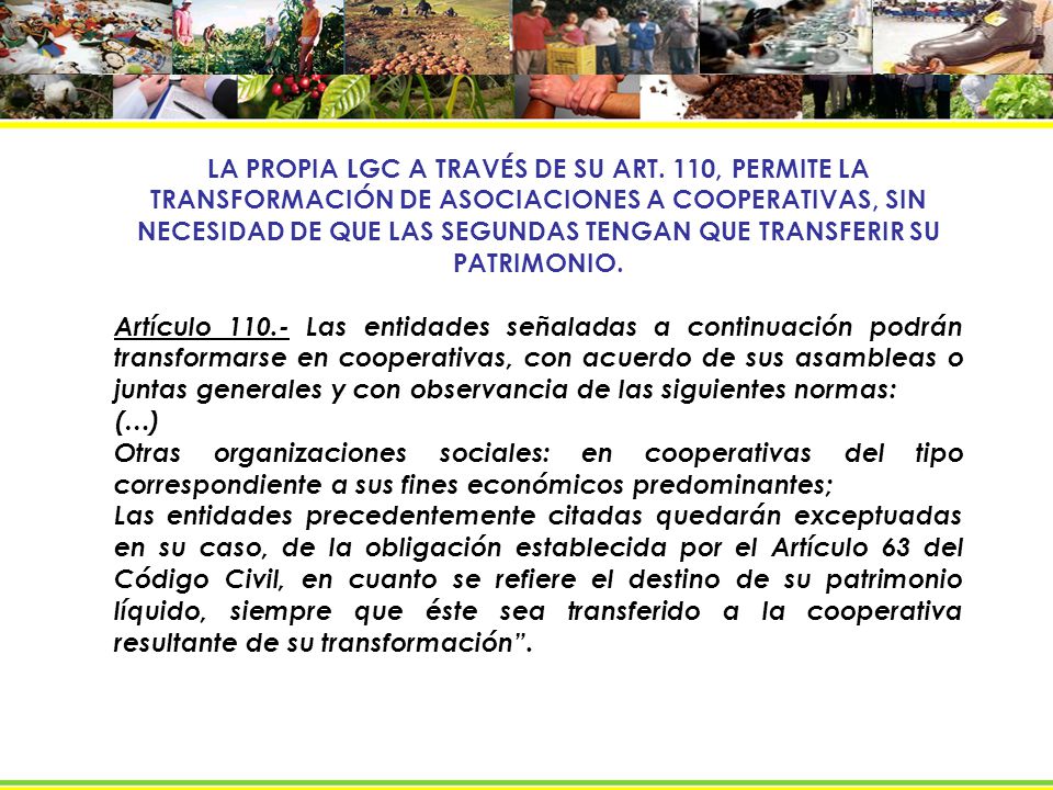 LA PROPIA LGC A TRAVÉS DE SU ART
