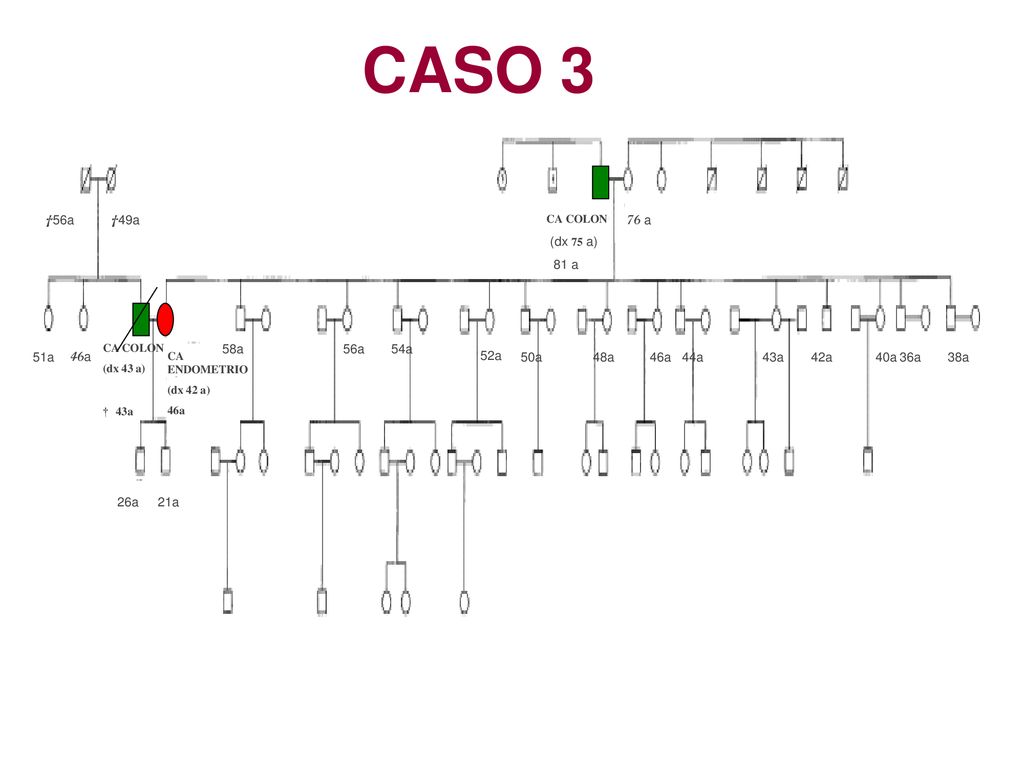 CASO 3 †56a †49a (dx 75 a) 81 a 76 a 58a 56a 54a 51a 46a 52a 50a 48a