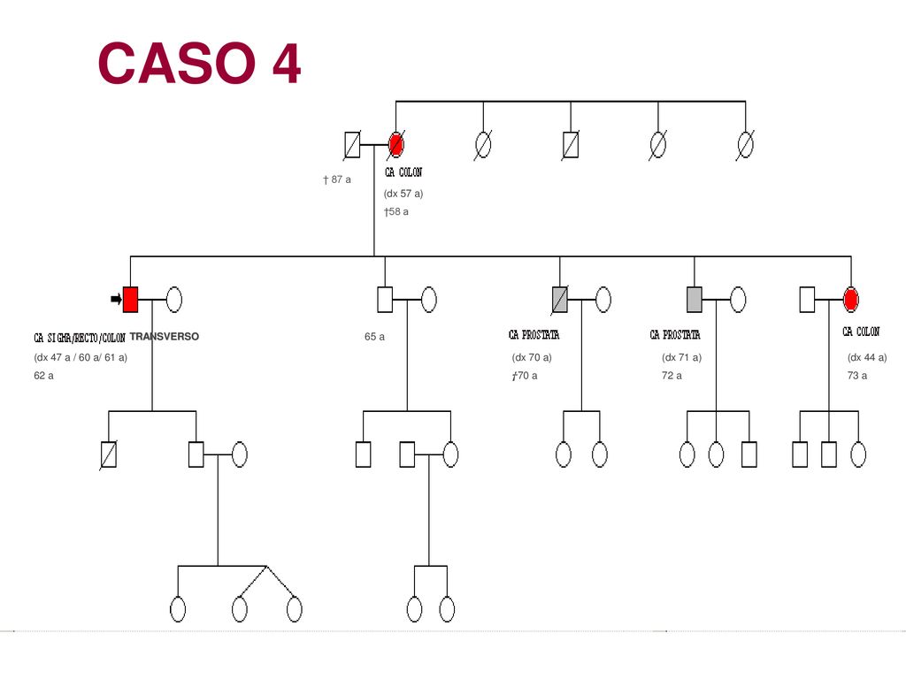 CASO 4 † 87 a (dx 57 a) †58 a TRANSVERSO 65 a (dx 47 a / 60 a/ 61 a)