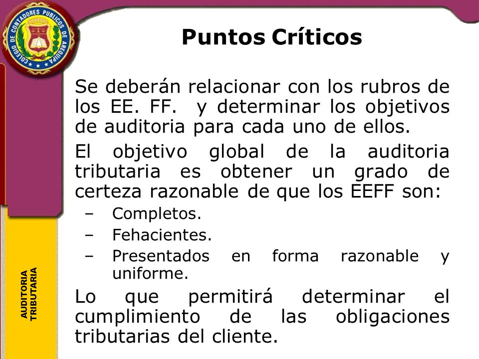 Puntos Críticos Se deberán relacionar con los rubros de los EE. FF. y determinar los objetivos de auditoria para cada uno de ellos.