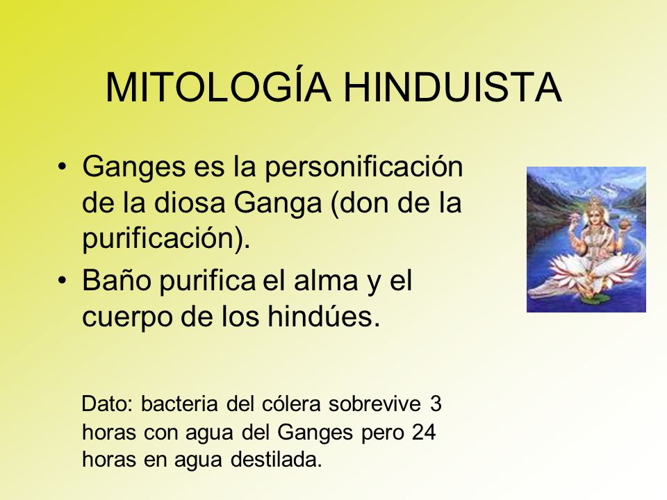 MITOLOGÍA HINDUISTA Ganges es la personificación de la diosa Ganga (don de la purificación). Baño purifica el alma y el cuerpo de los hindúes.
