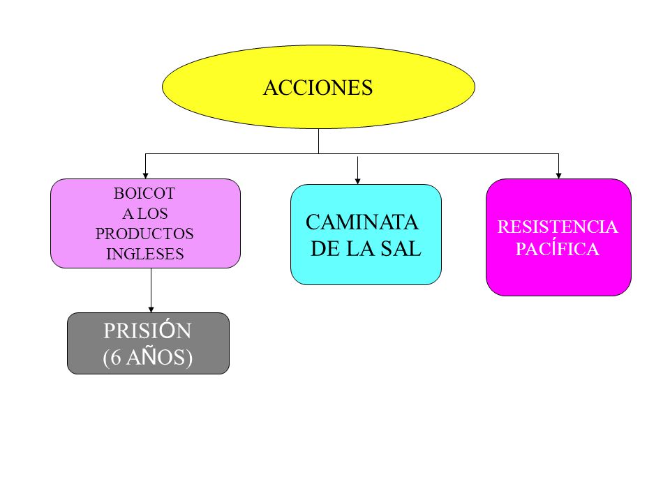 ACCIONES CAMINATA DE LA SAL PRISIÓN (6 AÑOS) RESISTENCIA PACÍFICA