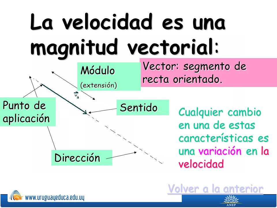 La velocidad es una magnitud vectorial: