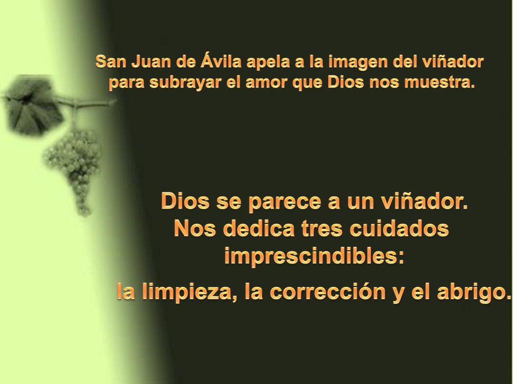 Dios se parece a un viñador. Nos dedica tres cuidados imprescindibles:
