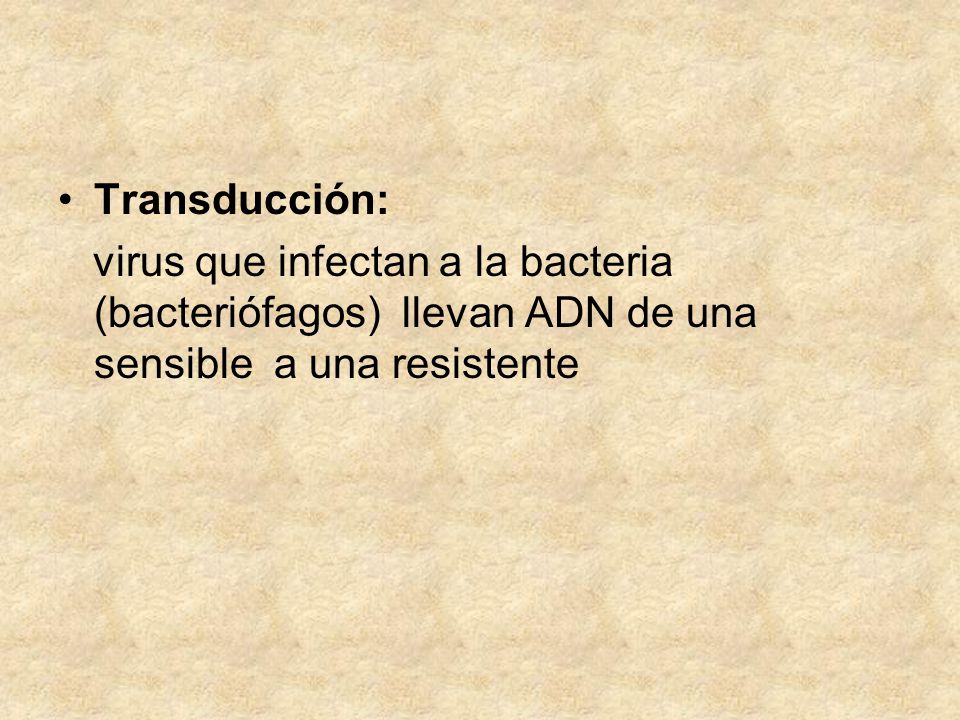 Transducción: virus que infectan a la bacteria (bacteriófagos) llevan ADN de una sensible a una resistente.